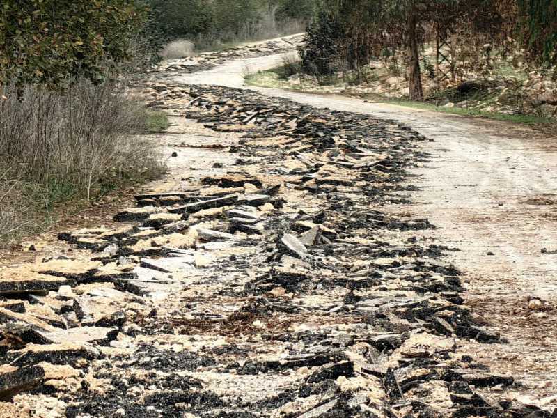 من الاعلام الصهيوني