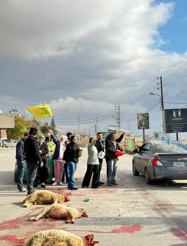 مباشر من تقلطع الفرزل ابلح