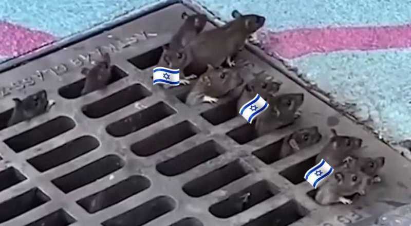  إعلام العدو الصهيوني يعترف بقوة “أنصار الله”وبفشل الدفاعات الأمريكية