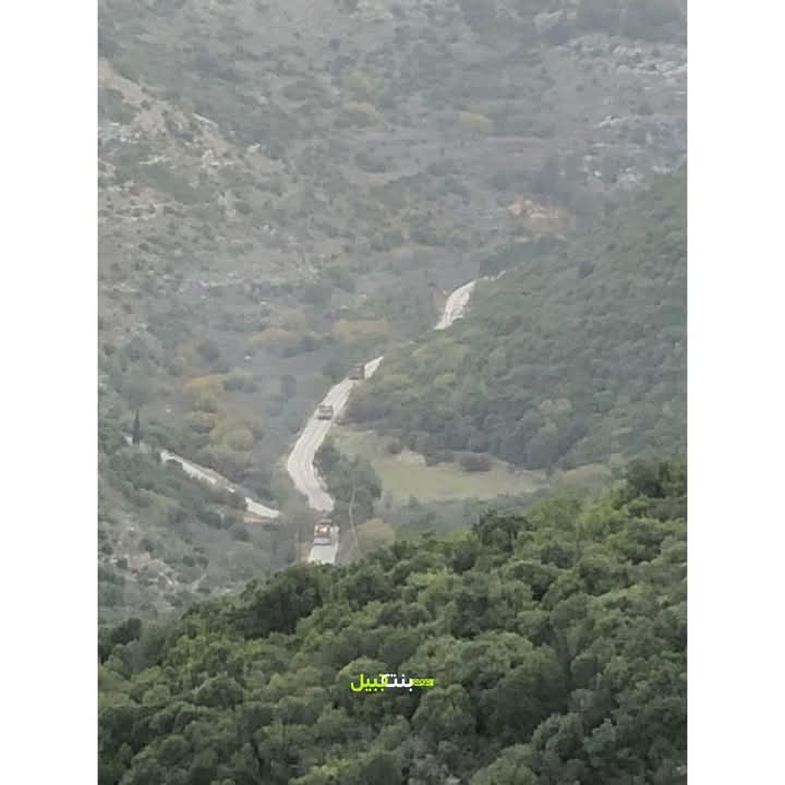 وادي الحجير احد اهم المناطق الزراعية الخصبة في الجنوب