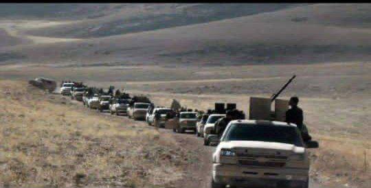 بيانات من عائلات وعشائر لبنانية لصد العدوان التكفيري والدفاع عن البلدات الحدودية في البقاع