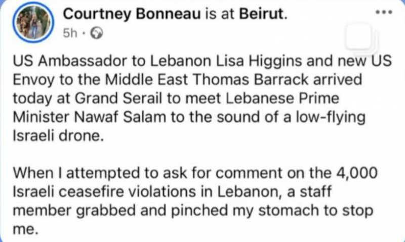 اعتداء على صحافية أجنبية في السراي الحكومي