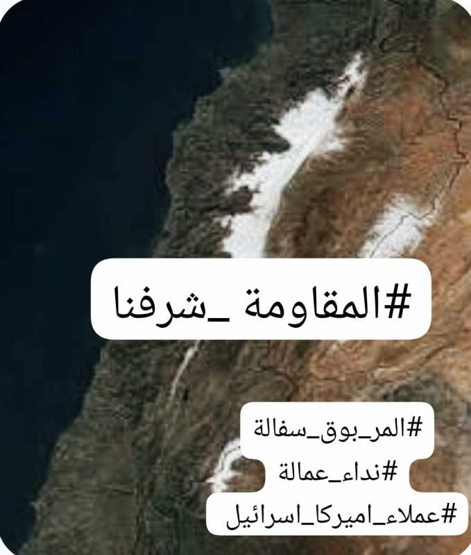 جهاد التبيين واجب على كل من لديه صفحة على وسائل التواصل ضد كل من يمس جمهورنا ومناطقنا والطائفة ورموز