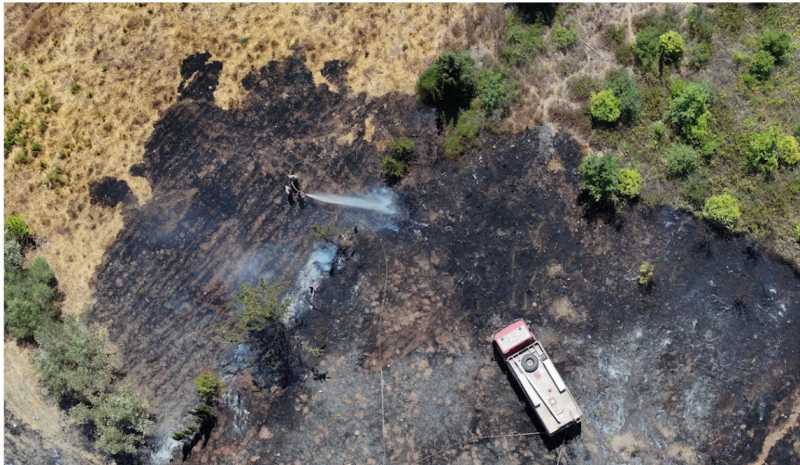 حرائق اللاذقية السيطرة على 3 بؤر للنيران... وتحذيرات من الحيوانات المفترسة!