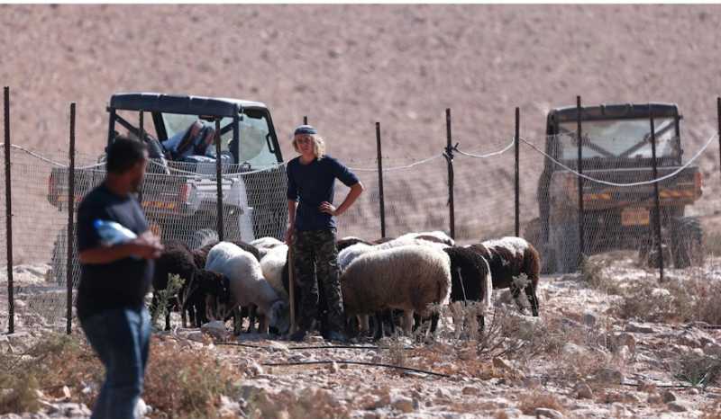 قفزة جديدة في عنف المستوطنين قتل الفلسطينيين... عن سابق تصوّر قفزة جديدة في عنف المستوطنين قتل الفلسطينيين... عن سابق تصوّر