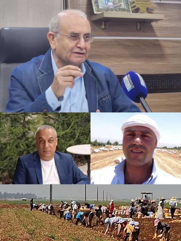 الترشيشي وفرج وحاطوم موسم البطاطا الاسوأ منذ ستين سنة العوامل المحلية والمناخية توحدت للاضرار بالقطا