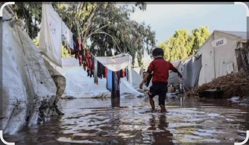 غزة تغرق والناس تموت بردًا وقهرًا