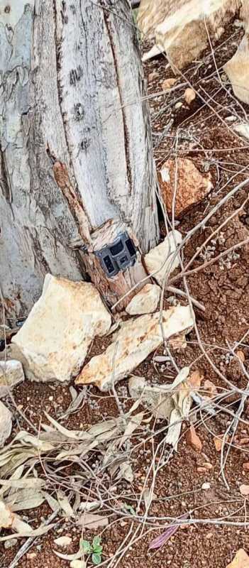 الرئيس عون أبلغ الجانبين الأميركي والفرنسي بأن لبنان يريد انسحاباً كاملاً للجيش الإسرائيلي بما في ذل