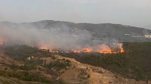 بفِعل الجفاف والعدو الإسرائيلي... موسم الحرائق يتمدّد بفِعل الجفاف والعدو الإسرائيلي... موسم الحرائق يتمدّد