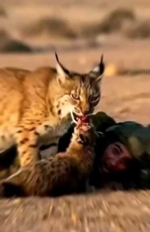 إلى العالم الصامت في غزة، يُقتل الأطفال والنساء والرجال تحت الأنقاض، بينما يصمّ العالم آذانه. الصمت 