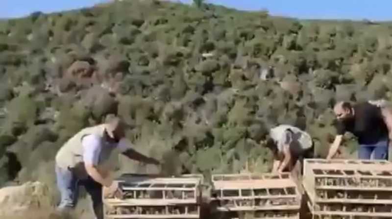 الجيش يصادر الالاف من طيور الحسّون المعدّة للتهريب، و وزارة الزراعة تولت  اعادتها إلى الطبيعة