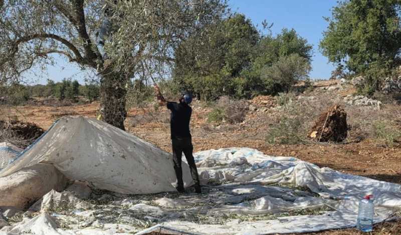 شهداء في «غارات الخميس» الأسبوعية   رئيس الـ«ميكانيزم» الجديد سأكون مختلفاً!