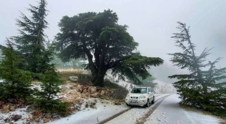 عدد من الطرقات الجبلية مقطوعة حاليًا بسبب تراكم الثلوج