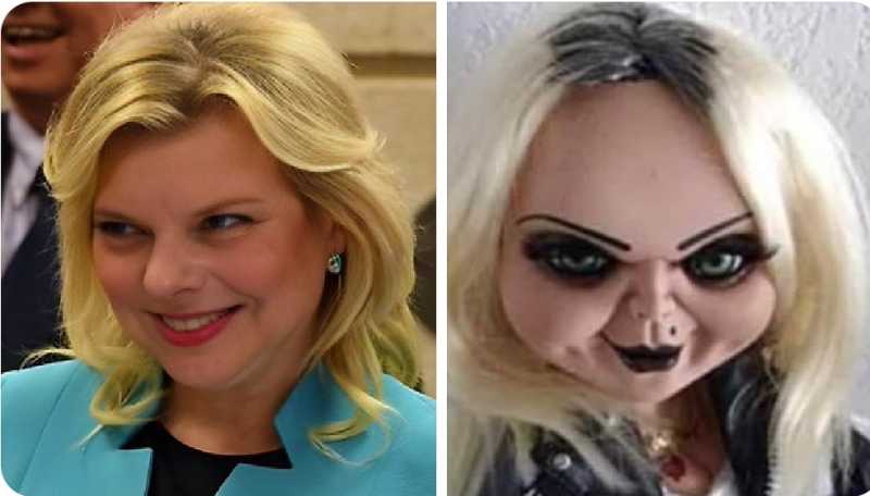 النتن سراق الاراضي وزوجته سارة سراقة المناشف