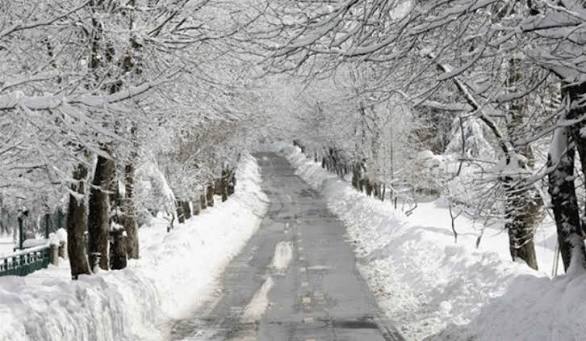 شاهد بالفيديو الاب ايلي خنيصر خبير الطقس والمناخ