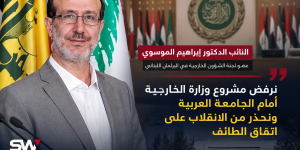 النائب إبراهيم الموسوي: نرفض مشروع وزارة الخارجية أمام الجامعة العربية ونحذر من الانقلاب على اتفاق الطائف