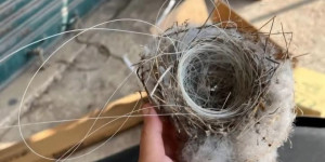 مطر: اتفاق واشنطن ليس بديلاً عن مذكرة التفاهم الأميركية-الإيرانية: لماذا لا يضمن سيادة لبنان؟