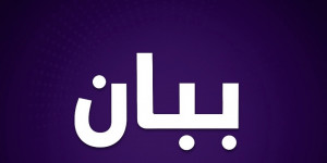  بيان توضيحي صادر عن الاعلامي فادي بودية 