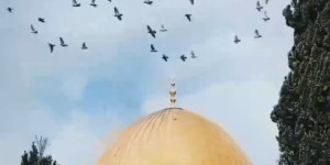  بيان صادر عن كتلة الوفاء للمقاومة بمناسبة يوم القدس العالمي: 