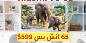 عِش تجربة السينما بقلب بيتك مع شاشة Xiaomi TV 65 4K QLED بأعلى دقة وألوان بتخطف النظر، وبسعر ما بيتفوّت!