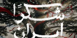 شكرا_ايران منعا لسرقة تجار الدم وأدوات إسرائيل للإنجاز