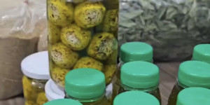 جمعية لباس الخير