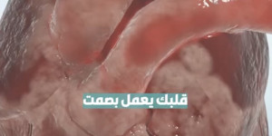 مركز لبنان الطبي الحدث _ L M C